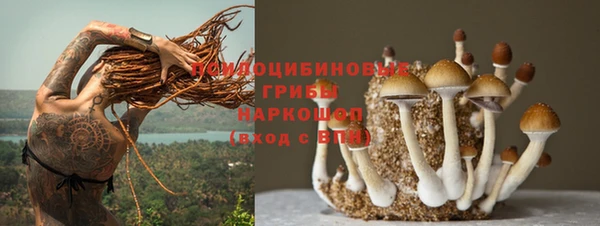 МДПВ Нефтегорск
