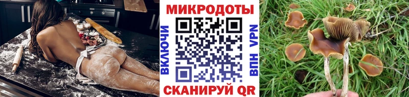 Галлюциногенные грибы MAGIC MUSHROOMS  Ялуторовск 